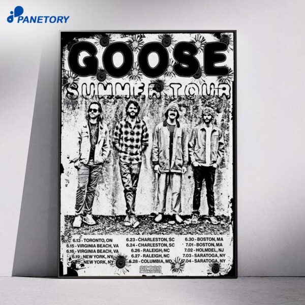Goose Tour Summer 2026 Poster