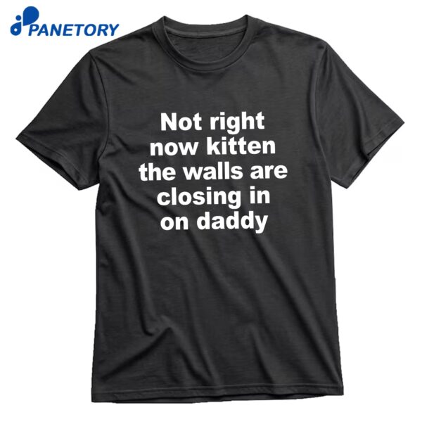 Not Right Now Kitten The Walls Are Closing In On Daddy T-Shirt