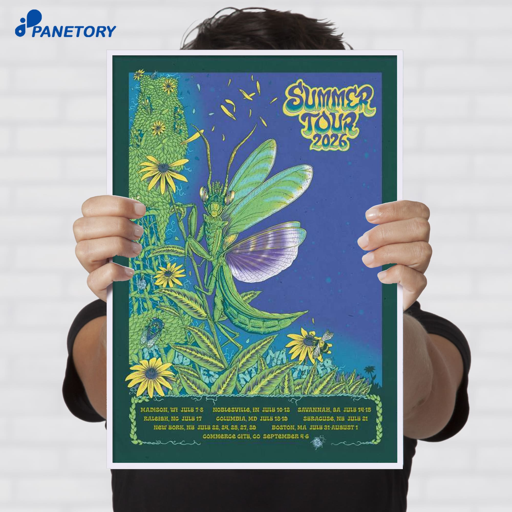 Phish Summer Tour 2026 Poster Phish Summer Tour 2026 Poster