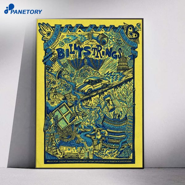 Billy Strings Charleston WV Aug 4 2026 Poster