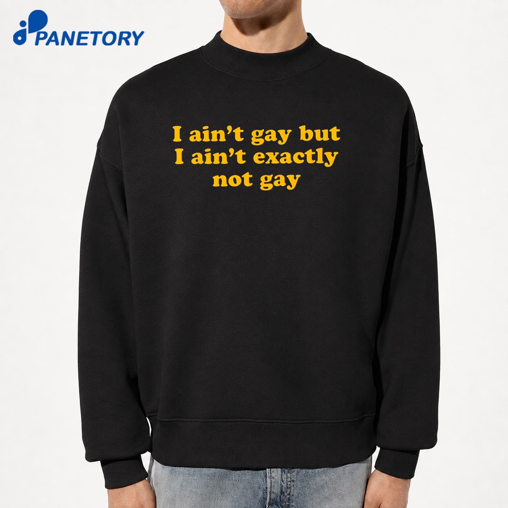 I Ain'T Gay But I Ain'T Exactly Not Gay T-Shirt 8 I Ain'T Gay But I Ain'T Exactly Not Gay T-Shirt 2