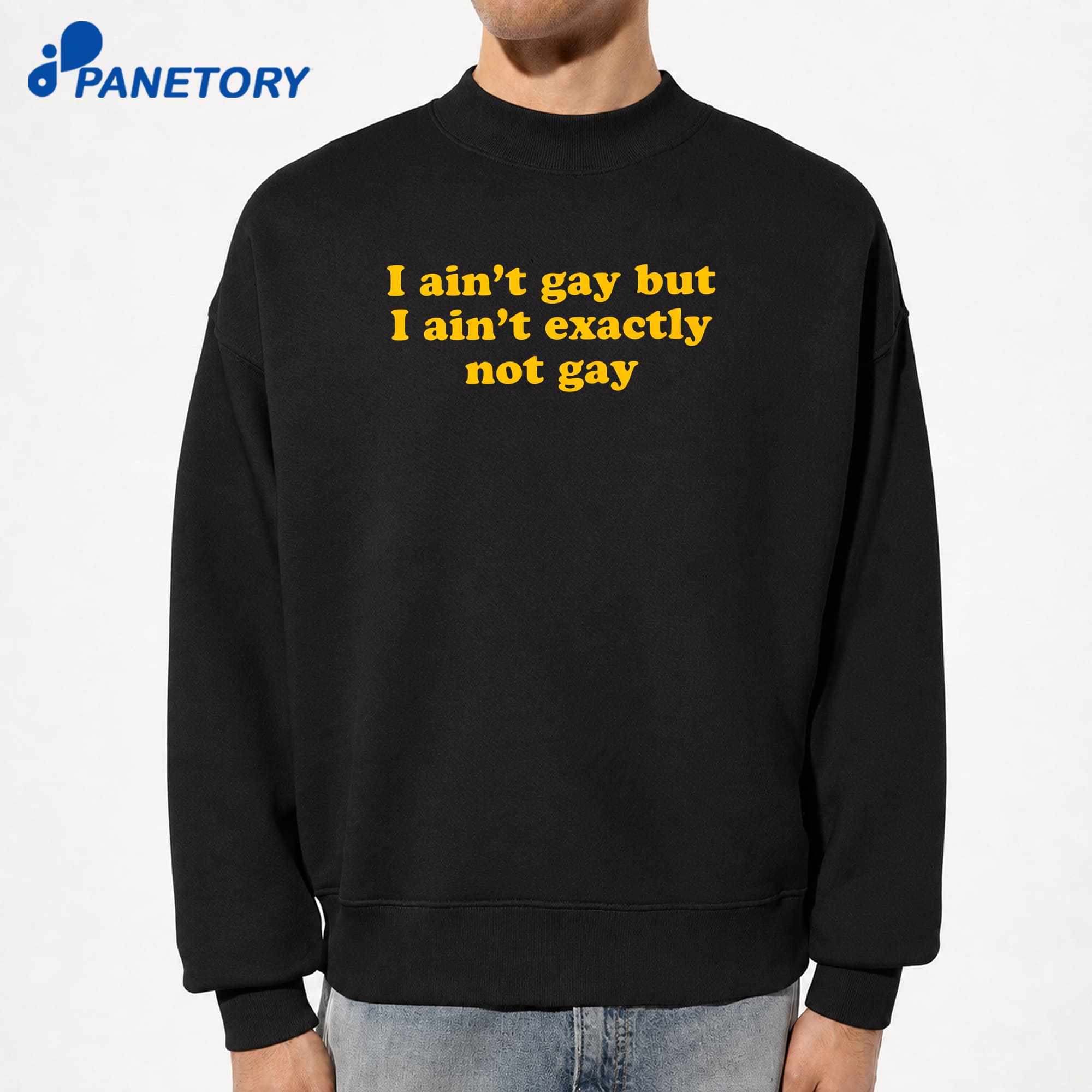 I Ain'T Gay But I Ain'T Exactly Not Gay T-Shirt 8 I Ain'T Gay But I Ain'T Exactly Not Gay T-Shirt 2