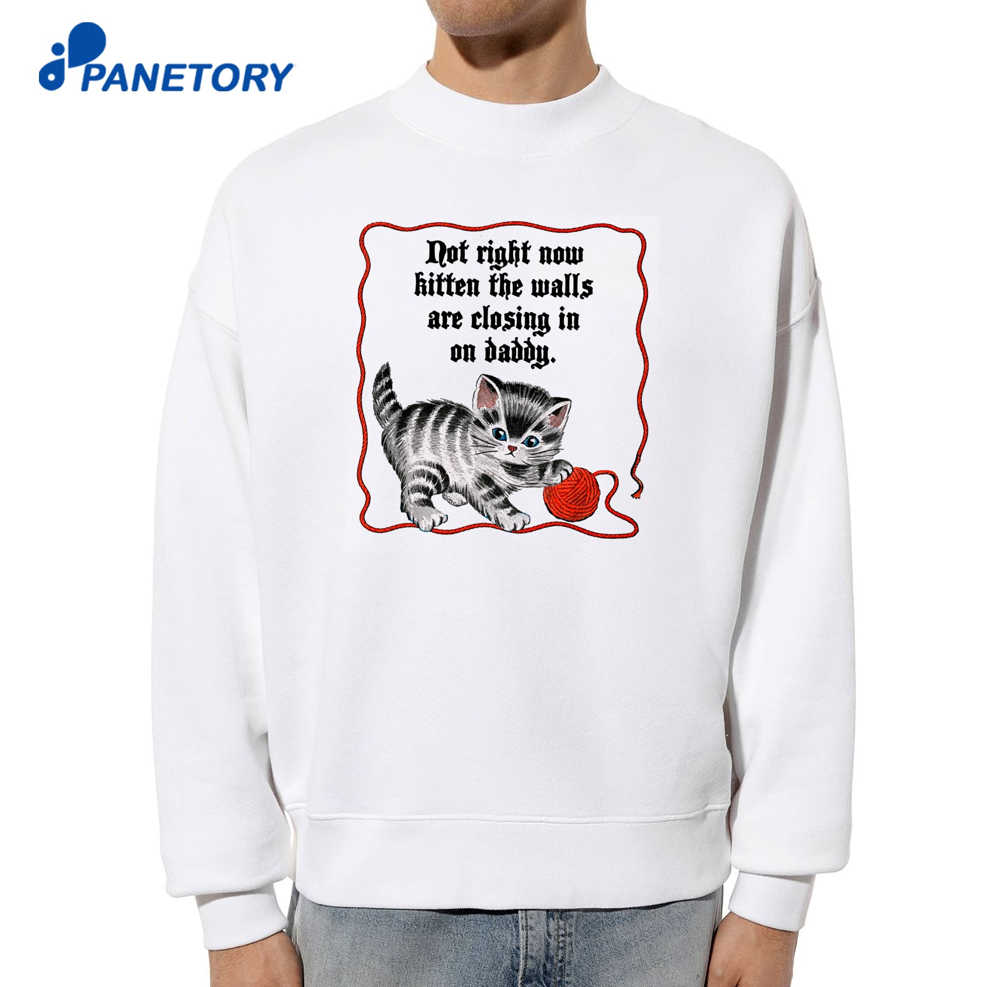Not Right Now Kitten The Walls Are Closing In On Daddy T-Shirt 8 Not Right Now Kitten The Walls Are Closing In On Daddy T-Shirt 2