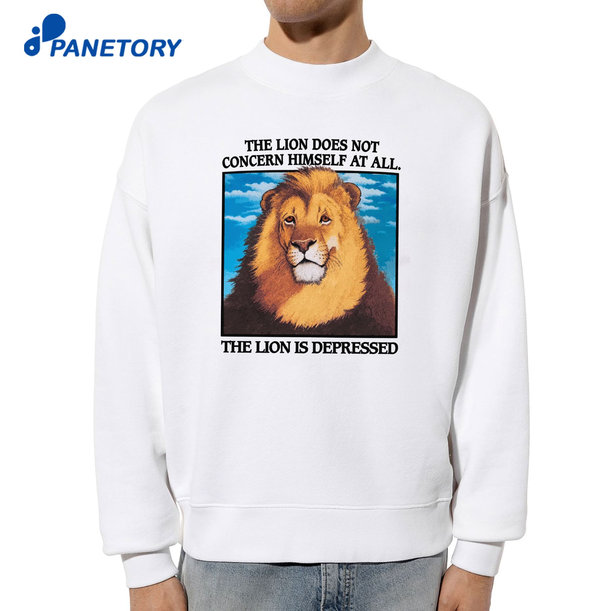 The Lion Does Not Concern Himself At All The Lion Is Depressed T-Shirt 6 The Lion Does Not Concern Himself At All The Lion Is Depressed T-Shirt 2