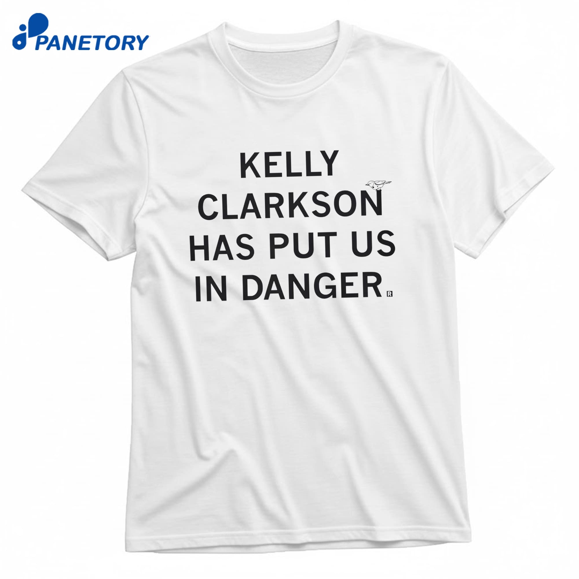 Kelly Clarkson Has Put Us In Danger T-Shirt 10 Kelly Clarkson Has Put Us In Danger T-Shirt 1